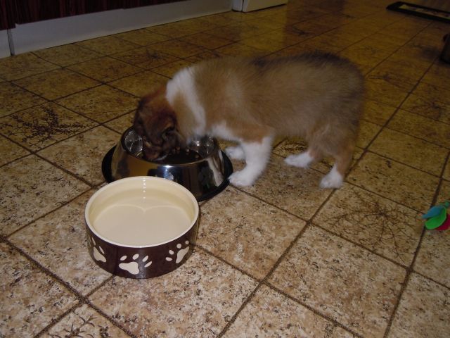 DSCN1277