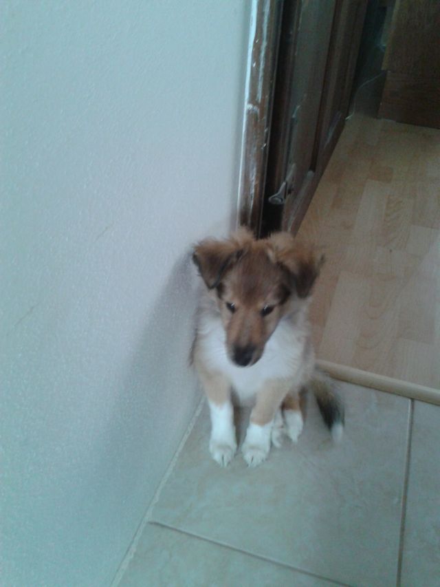 20130606_125012